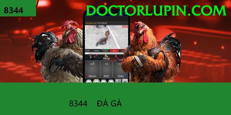 Đá Gà Trực Tiếp - sv368